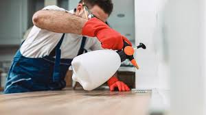 Best Residential Pest Control  in Rosharon, TX